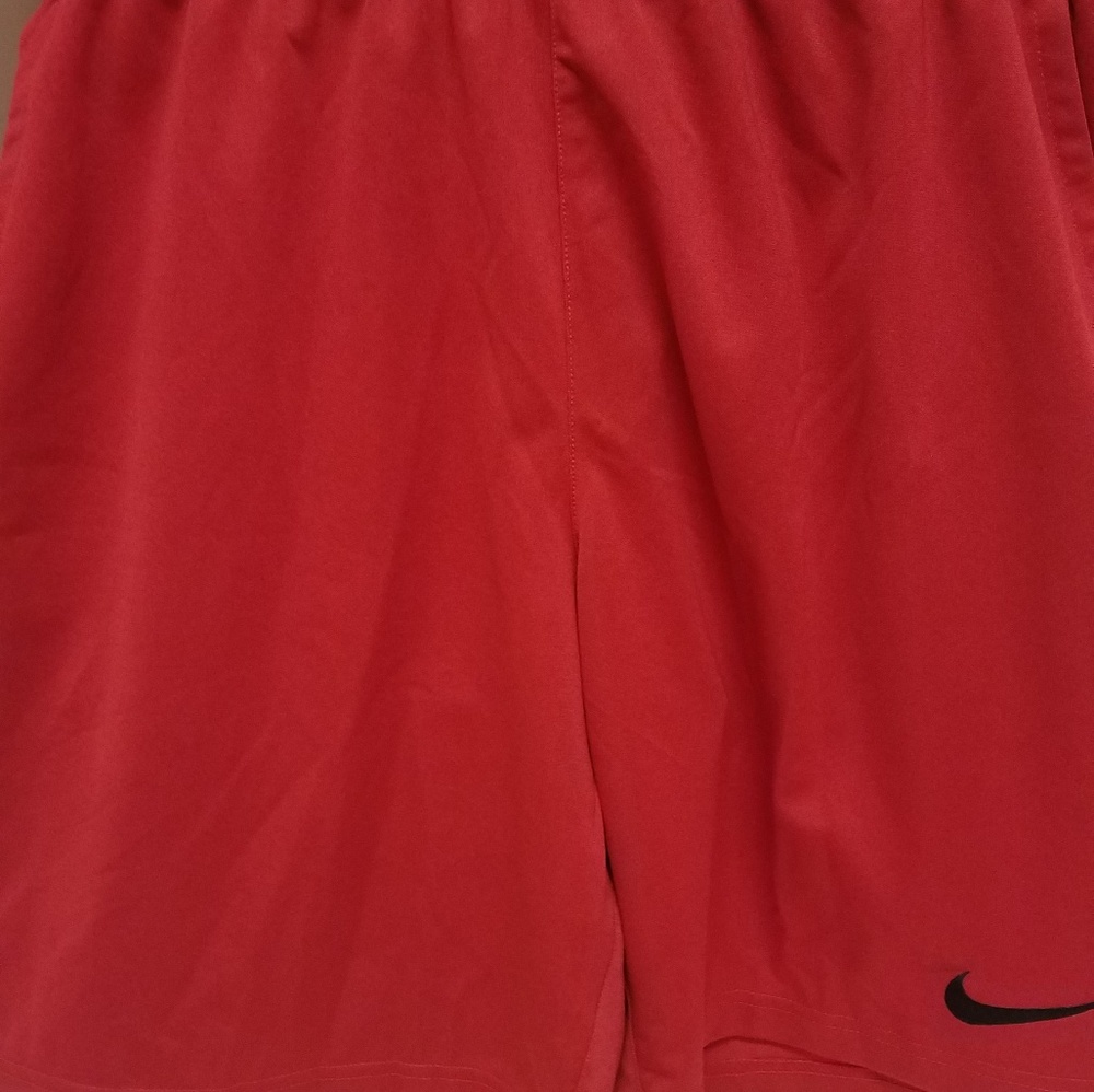 Nike Men's Dry Fit Shorts (L)